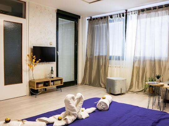 Center Cozy Apartment スボティツァ エクステリア 写真