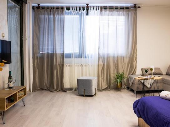 Center Cozy Apartment スボティツァ エクステリア 写真