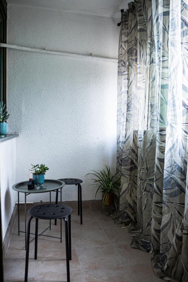 Center Cozy Apartment スボティツァ エクステリア 写真